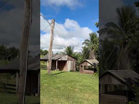 Amanhecer Epitaciolandia Acre #shorts