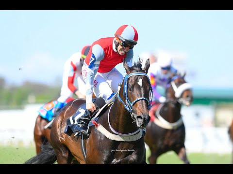 Gran Premio Suipacha (G1) 2025 - Labrado (Le Blues)