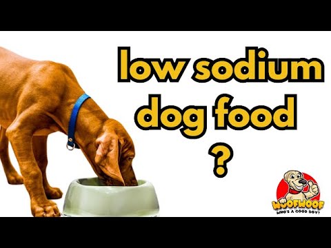 LOW SODIUM Dog Food ?