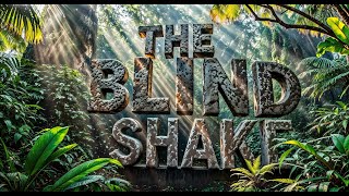 THE BLIND SHAKE   Go Go 78