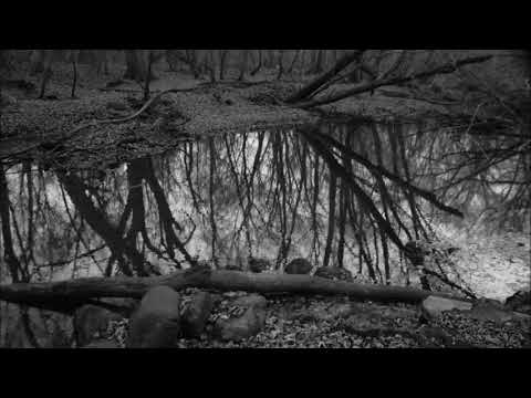 Pier Bucci - Dos Mundos (Original Mix)