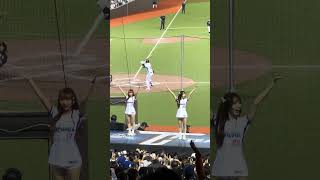 【Team Taiwan】#一七 #妮妮 台灣捷克國際交流賽@台北大巨蛋 20241102 #台湾チア #cheerdance #cheerleading  #teamtaiwan