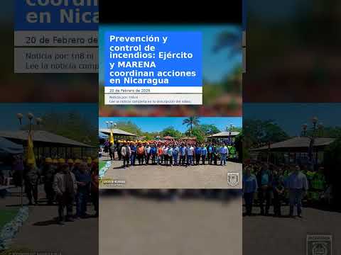 Prevención y control de incendios: Ejército y MARENA coordinan acciones en Nicaragua