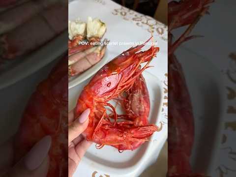 HUGE scarlet prawns in Portugal 🤤🦐