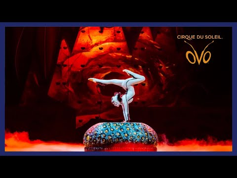 Cirque Du Soleil: OVO │ Trailer 2026