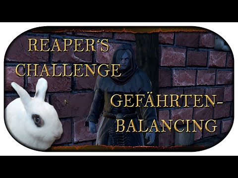NEVERWINTER: Special 🐇 Neue beste DPS-Gefährten & Reaper's Challenge