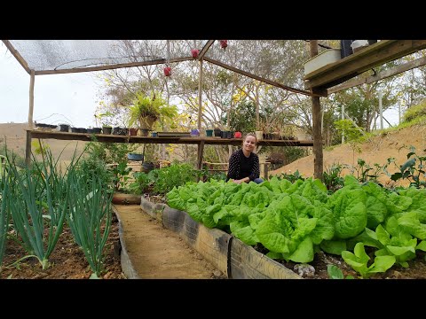 Our garden in the countryside! Plenty!