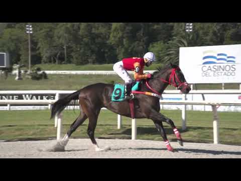 31/10/2020 – Hipodromo Maroñas – Carr 6 - MUNDANAL (2019)