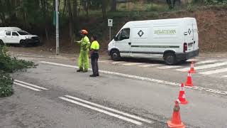 La tempesta del 31 d'agost fa caure 33 arbres a Bellaterra