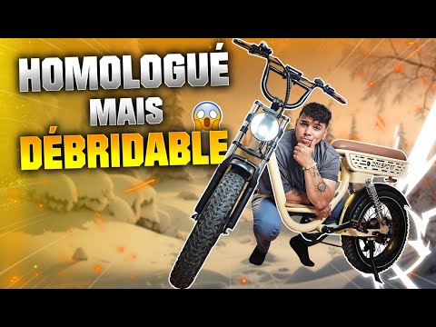 TESTBERICHT EINES KOMFORTABLEN UND LEISTUNGSSTARKEN FAT-BIKES ! OneSport W77