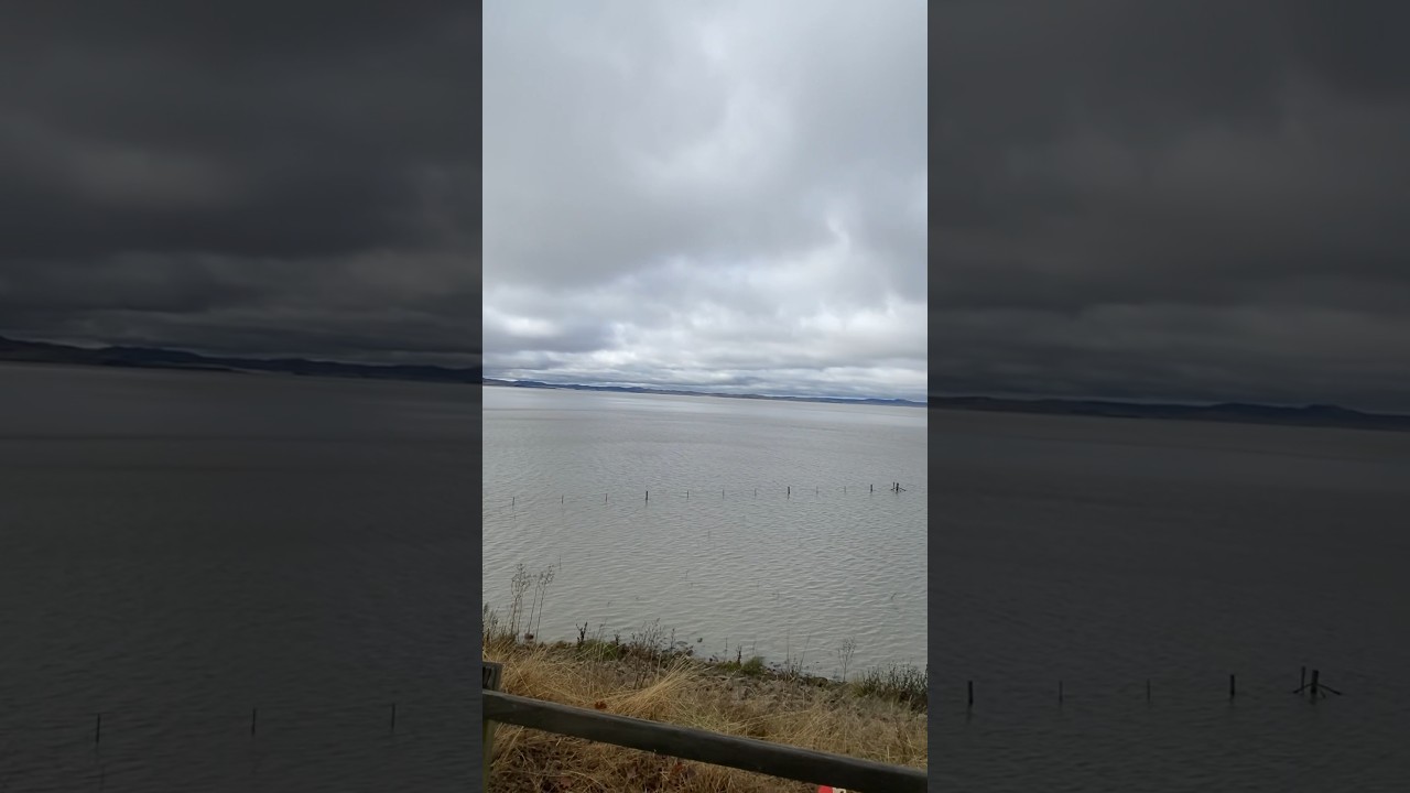 YouTube Short thumbnail