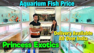 Princess Exotics Aquarium Fish Price I Delivery Available All Over India