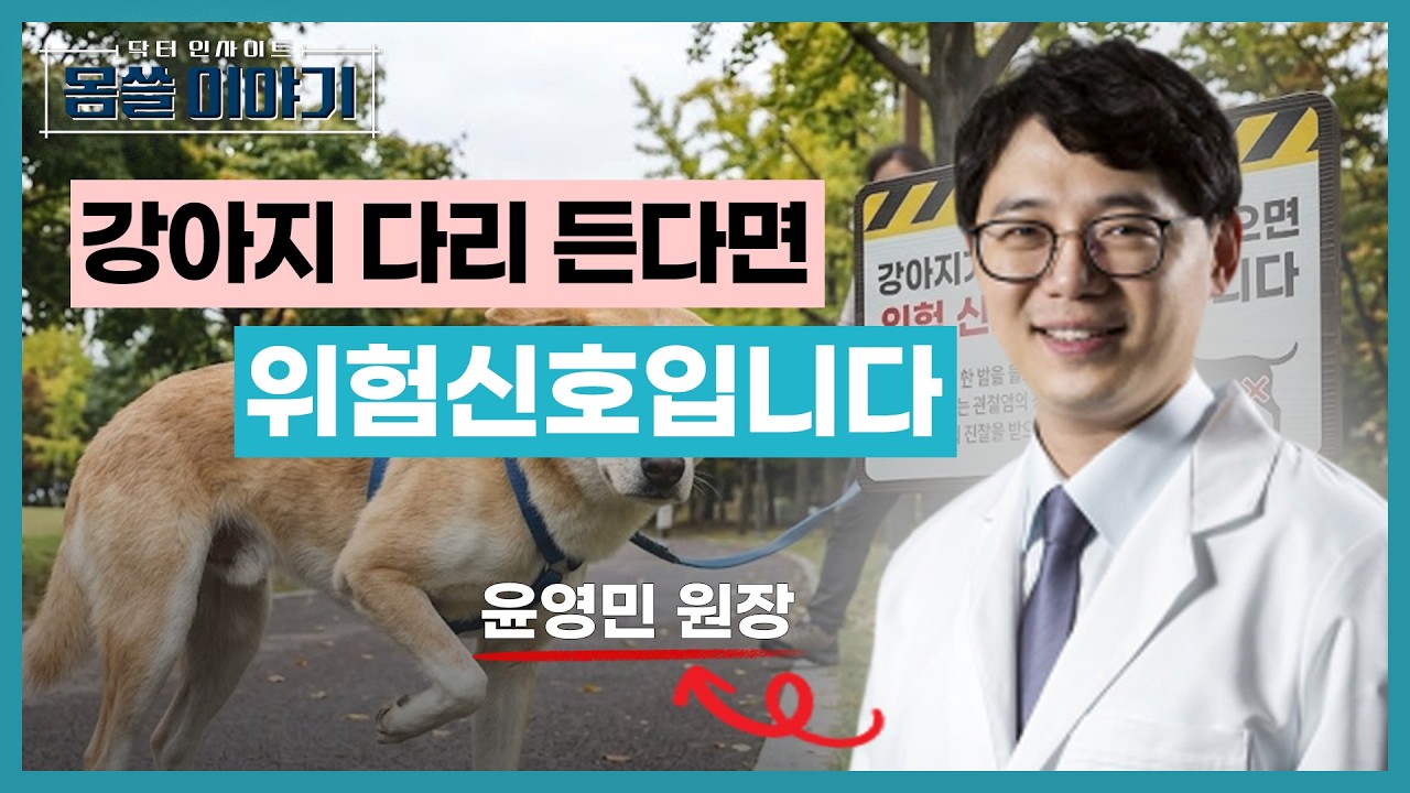 다리 들고 걷는 강아지, 병원 가야 할 신호입니다 [몸쓸이야기 19회]