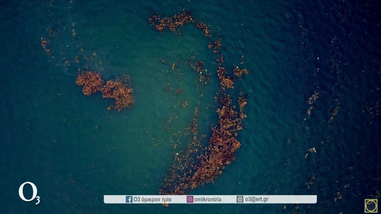 Το φαινόμενο της ‘’Ερυθράς Παλίρροιας’’ που έβαψε κόκκινο τον Θερμαϊκό κόλπο | 05/04/2022 | ΕΡΤ