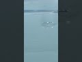 Pilot Executes The Riskiest Aviation Maneuver The Water Landing Aviation Airplane Emergency