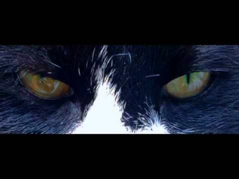 DJ YUNG VAMP x [ bsd.u ] - HOPPED UP (Unofficial Music Video)