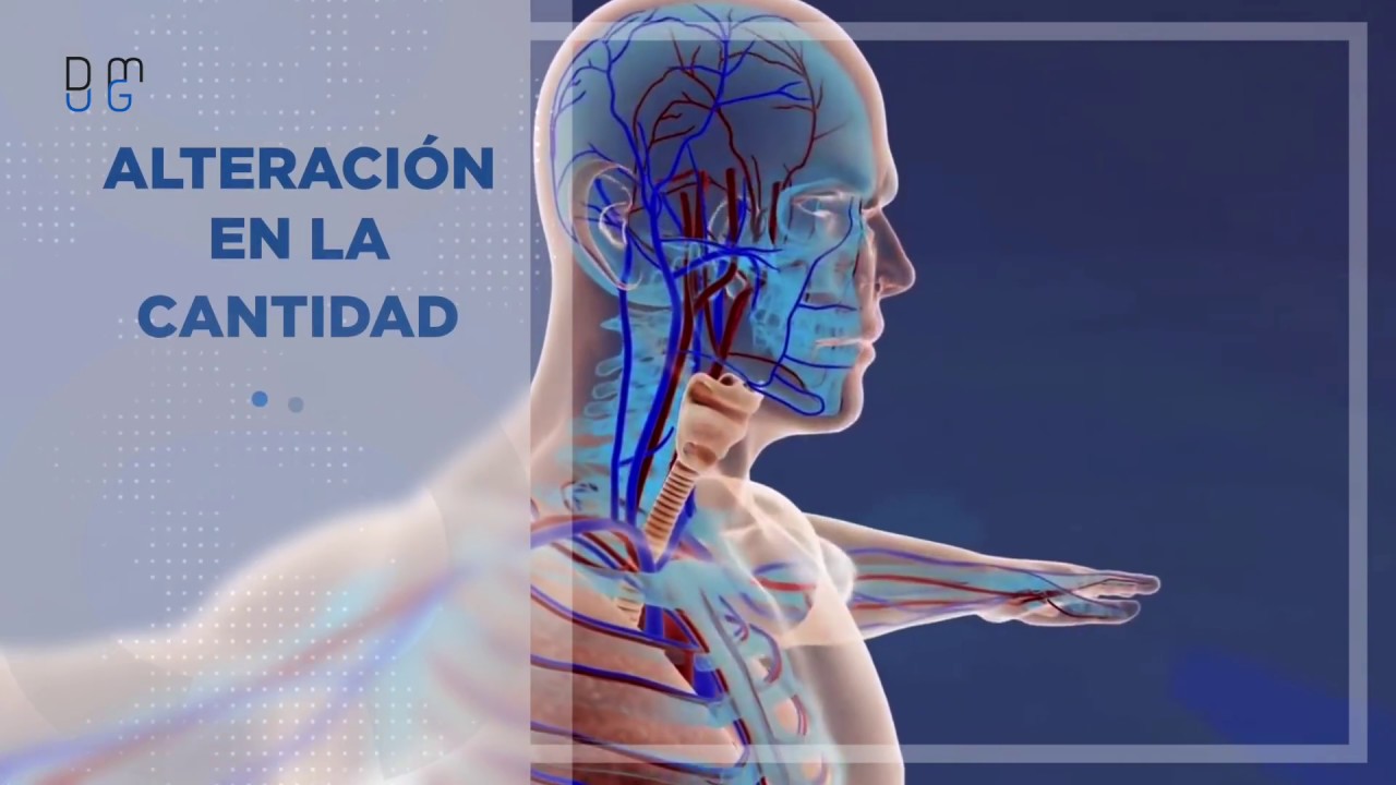 Daniel Uribe Cortés-7