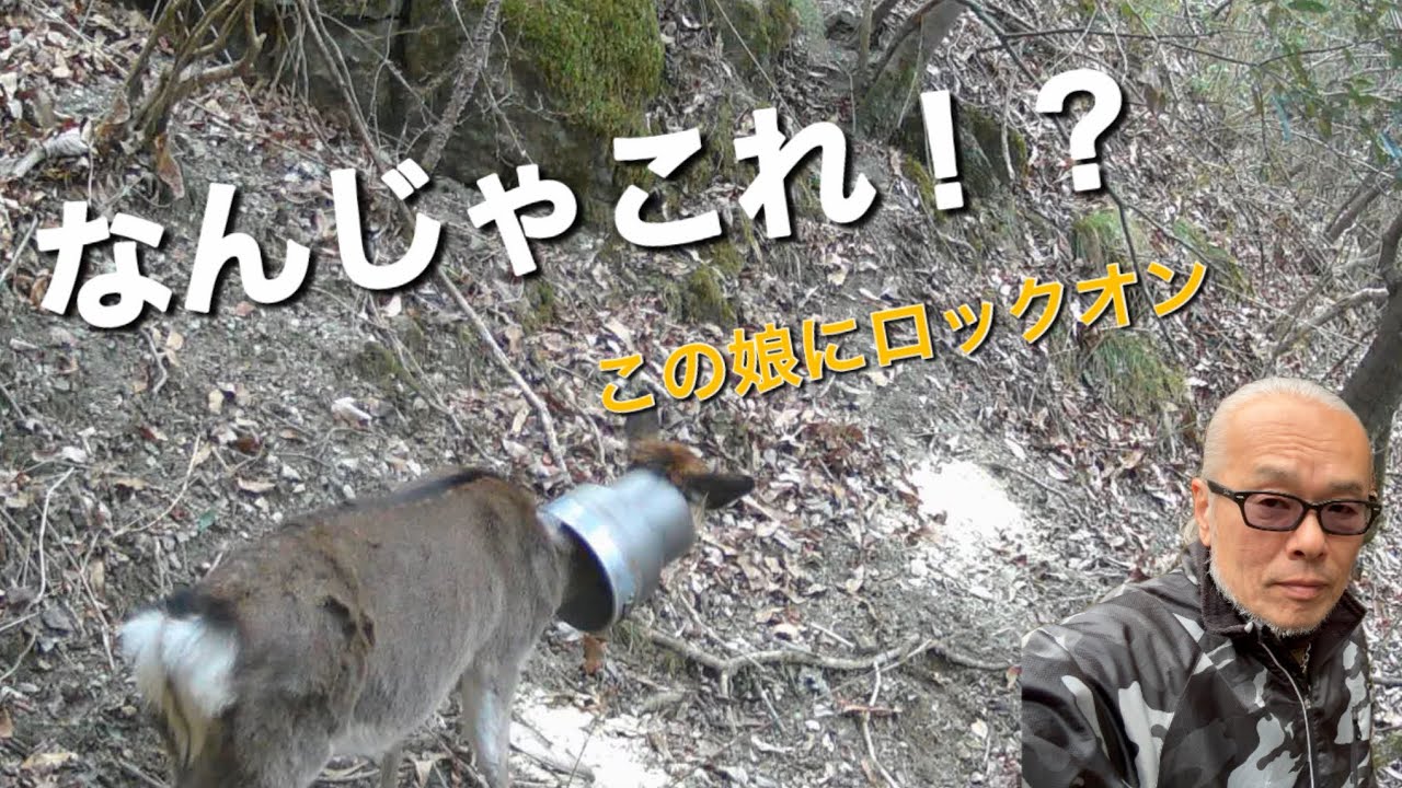 #90【猟師人生初の映像】カメラに映った鹿をロックオン