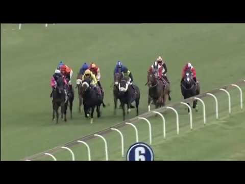 2016.11.26 The Citizen Merchants (RSA) - Trip to Heaven