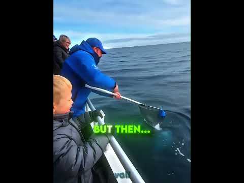 THIS WHALE STOLE HIS HAT... THEN GAVE IT BACK! 💨🧢 #shorts