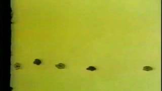 The Letter People TV 30 Adjacent Vowels