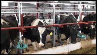 Новые рабочие места в лучших условиях