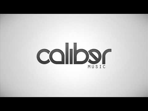 Haywyre - The Observer [Caliber Music]