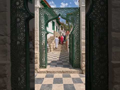 Harar - The City of Saints 🇪🇹 | Inside Ethiopia's Ancient Walled Paradise