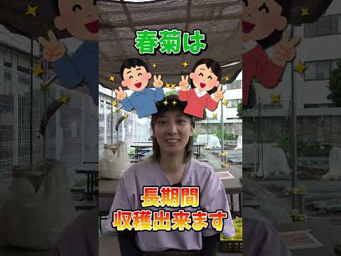  2月に室内に何を蒔く？欠かせない5つの作物  庭園