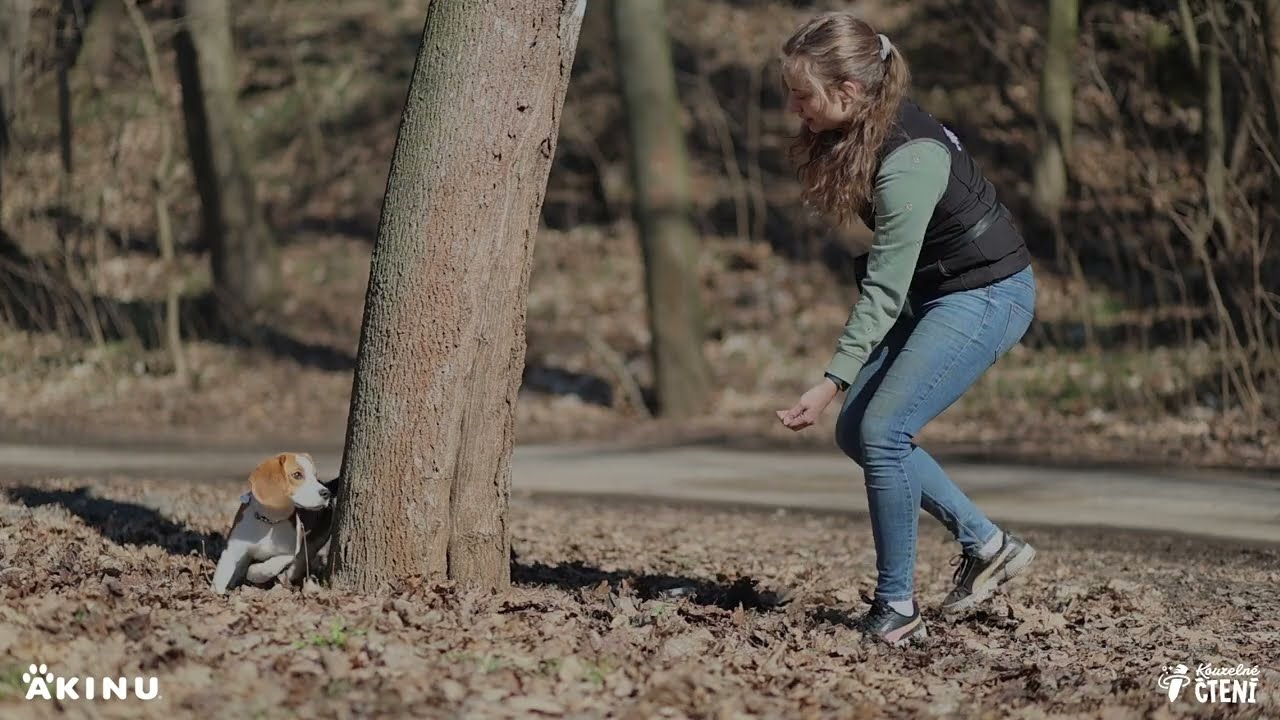 Máme doma mazlíčka - oběhni