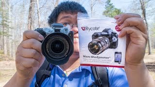 Canon M50 Review with Rycote Micro WindJammers
