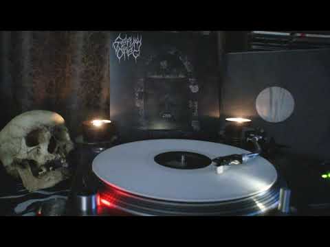 Serum Dreg ‎– Holy Disease