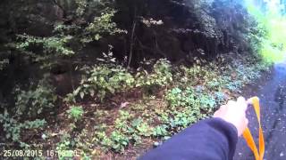 Pigeon kill with catty