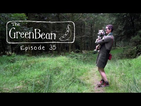 The Green Bean Podcast Episode 35