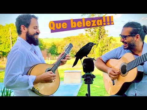 GRAÚNA - DANILO BRITO und PENEZZI Choromusik von João Pernambuco