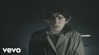 The Psychedelic Furs - Sister Europe (Official Video)