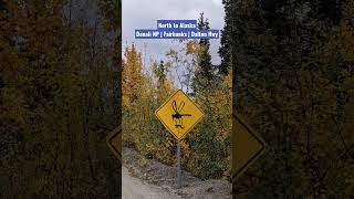 #alaska #fairbanks #denali #daltonhighway #northpole #northernlights