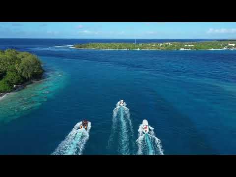 Taura - Mokarran Protection Society