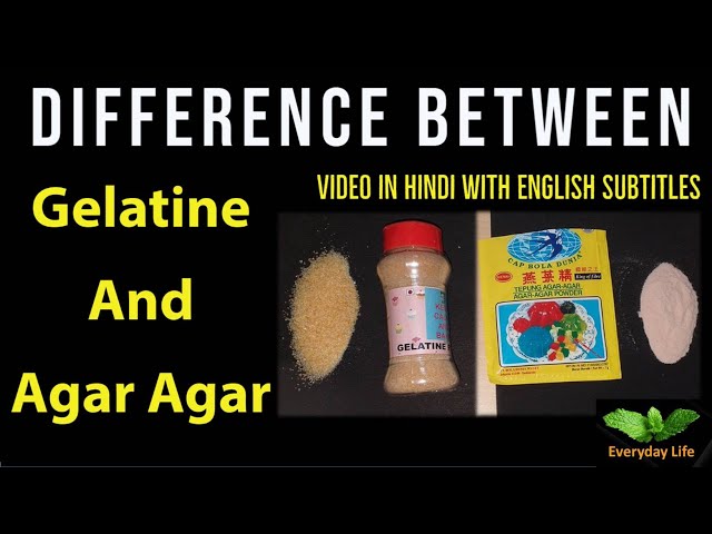 Video Pronunciation of gelatin in English