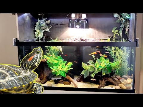 75 Gallon Turtle Tanks | REACTING to your turtle setups (ep. 8)