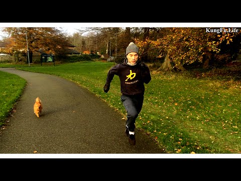 10 mins Winter Kung Fu Workout