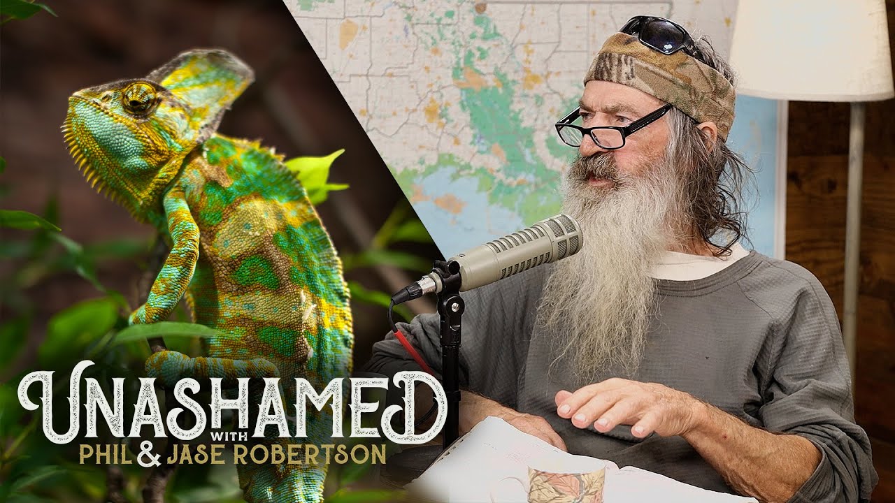 Ep 384 | How Missy Insults People Without Even Trying & Why Some Christians Are Like Lizards