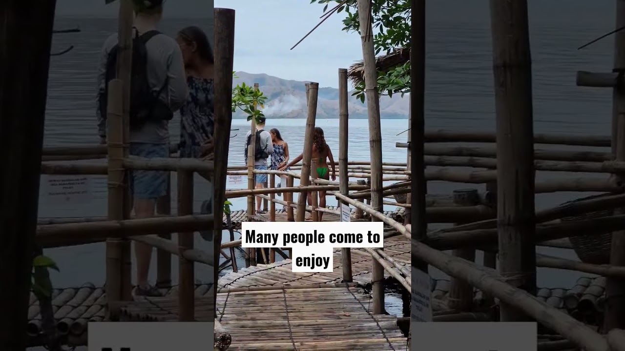 YouTube Short thumbnail