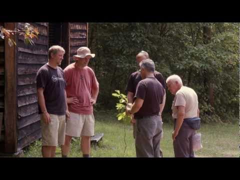 Click to Watch the Join the Kings Men In a White House Witness to Marriage on Saturday, August 15, 2015  video