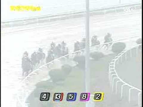 2008 Korean Derby (G1) (05.18, 9f)