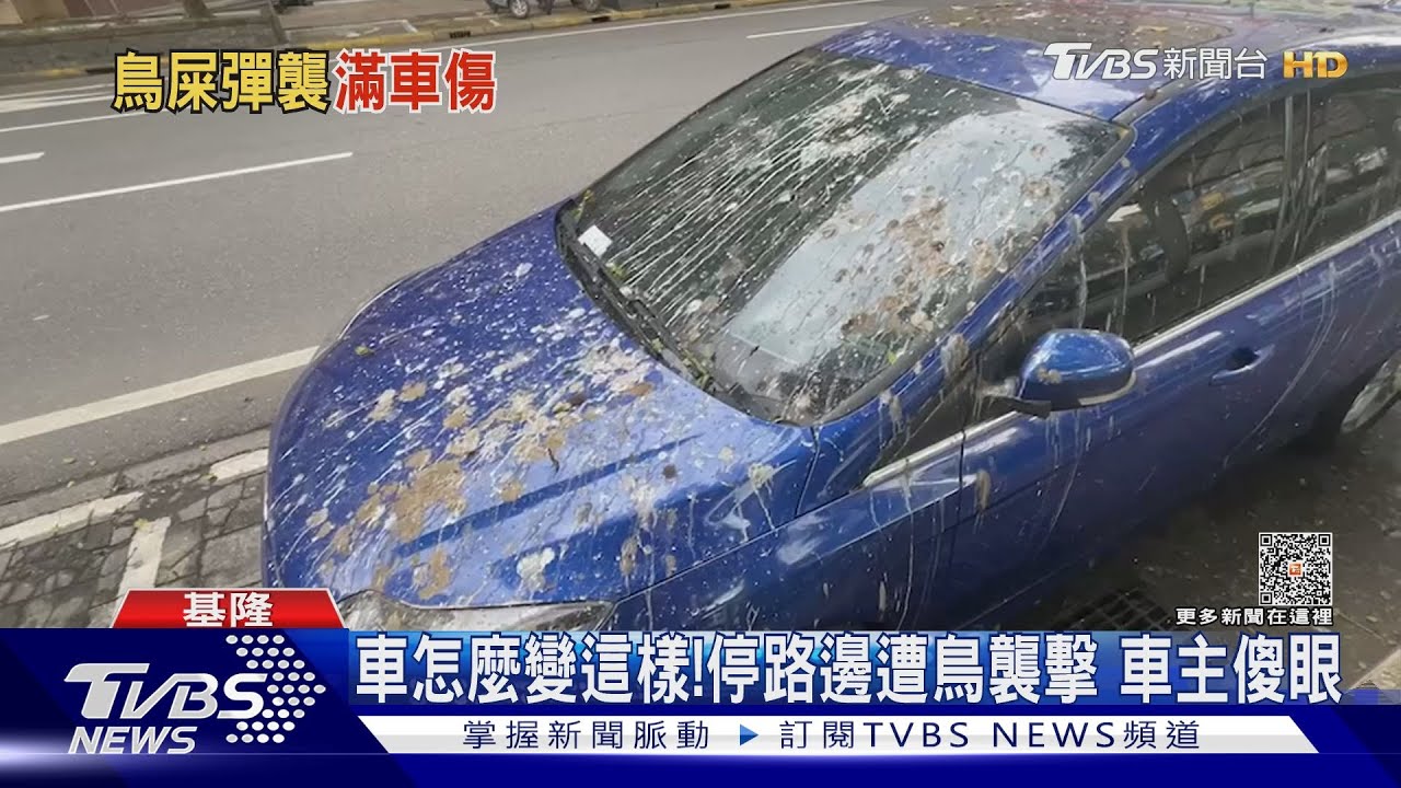 車怎麼變這樣！停路邊遭鳥襲擊　車主傻眼