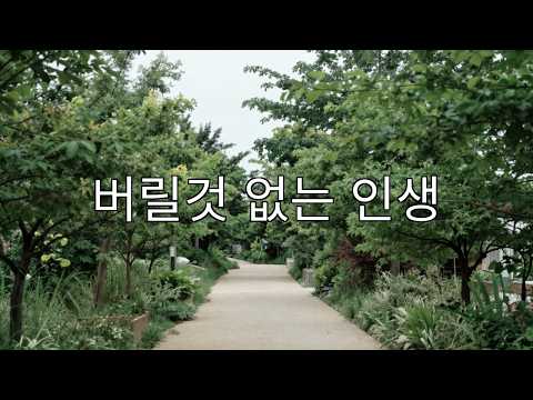 영상