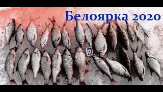 Отчеты о рыбалке свердловская область декабрь 2020 белоярка