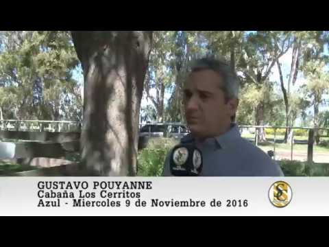 09-11-16 Nota Gustavo Pouyanne - Wallace Hnos S.A. - Azul.