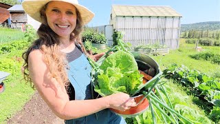 Garden & Root Cellar Shopping | From Harvest to Table | Delicious Meal That Freezes Well